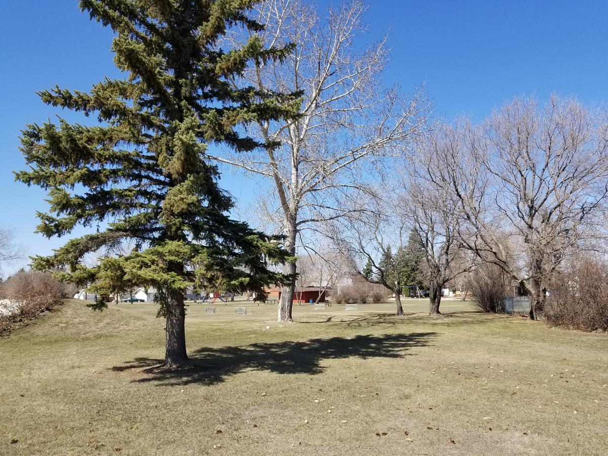 Melsask Motel Melville Екстер'єр фото